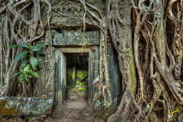 Fototapete - Ancient stone door and tree roots, Ta Prohm temple, Angkor, Camb