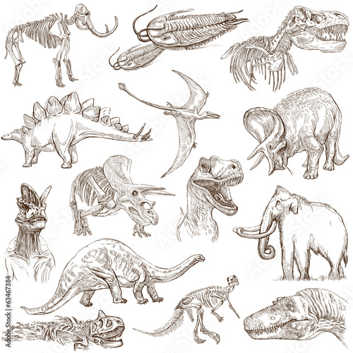 Dinosaurs no.3 - an hand drawn illustrations, vector set Poster