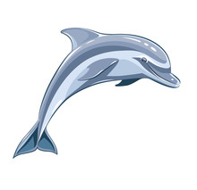Dolphin. Eps8 Vector Illustration. Isolated On White Background