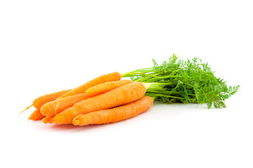 Wall Mural - Fresh organic carrots on white background