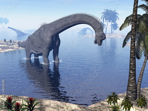 Naklejka dekoracyjna Brachiosaurus dinosaur in water - 3D render