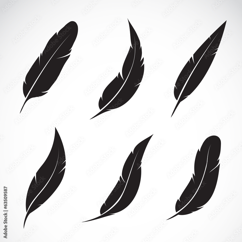 Vector group of black feather isolated on white background. Icons. - obrazy, fototapety, plakaty 