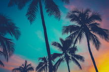 Hawaii Palm Trees At Sunset