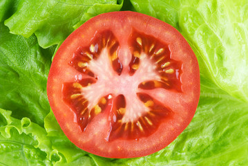Wall Mural - Tomato slice background