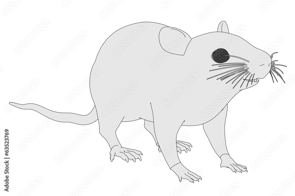 cartoon image of mus musculus