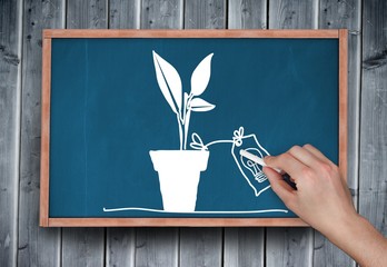 Poster - Composite image of hand drawing plant with chalk