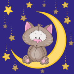 Wall Mural - Cat on the moon