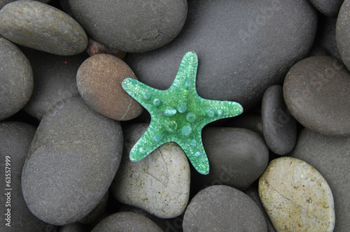 Naklejka na kafelki starfish among river pebble stones