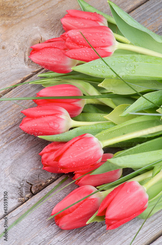 Naklejka na drzwi Spring Tulips