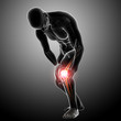 Anatomy of male knee pain in gray
