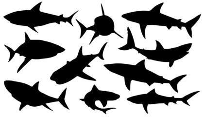 Wall Mural - shark silhouettes