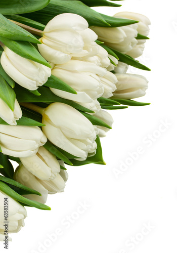 Naklejka nad blat kuchenny border of white tulips