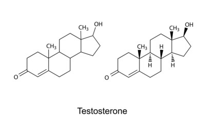 Wall Mural - Structural formulas of testosterone molecule