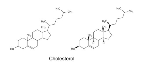 Sticker - Structural formulas of cholesterol molecule