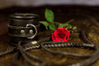 © M.Dörr & M.Frommherz - bdsm objekte mit roter rose