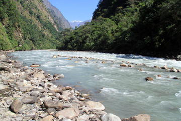 Wall Mural - Mountain river