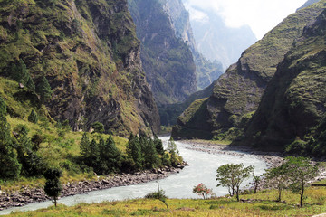 Wall Mural - Mountain river