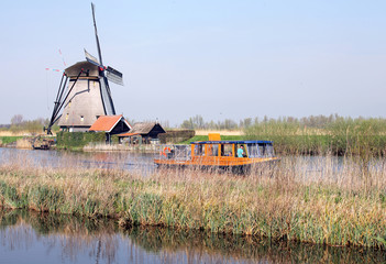 Wall Mural - Windmills at Kinderdijk, Netherlands