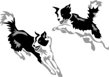 Stylized Jumping Border Collie
