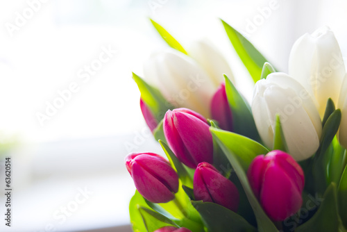 Dekoracja na wymiar  swieze-tulipany