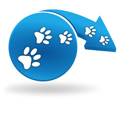 pattes de chien sur bouton bleu