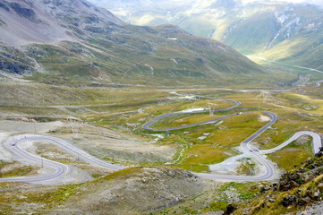 Steviopass