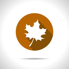 vector maple leaf icon. eps10