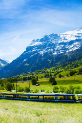 Wall Mural - Train crossing Alps countryside