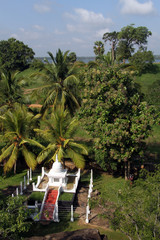 Wall Mural - White stupa and green trees