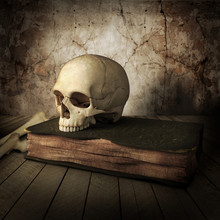 Ancient Skull With Book