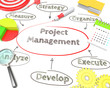 © Giovanni Cancemi - Project Management Flow Chart