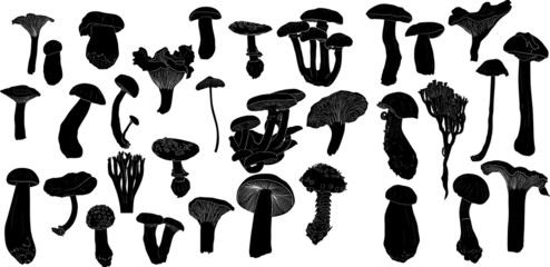 Sticker - large set of isolated mushrooms sketches