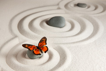 Wall Mural - Zen rocks with butterfly