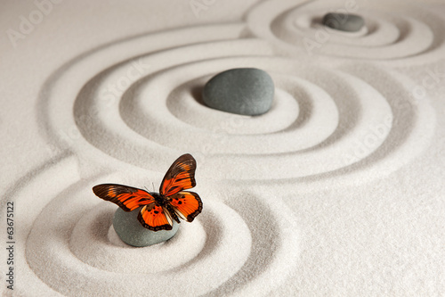 kamien-zen-i-motyl-na-piasku