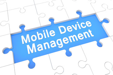 Wall Mural - Mobile Device Management