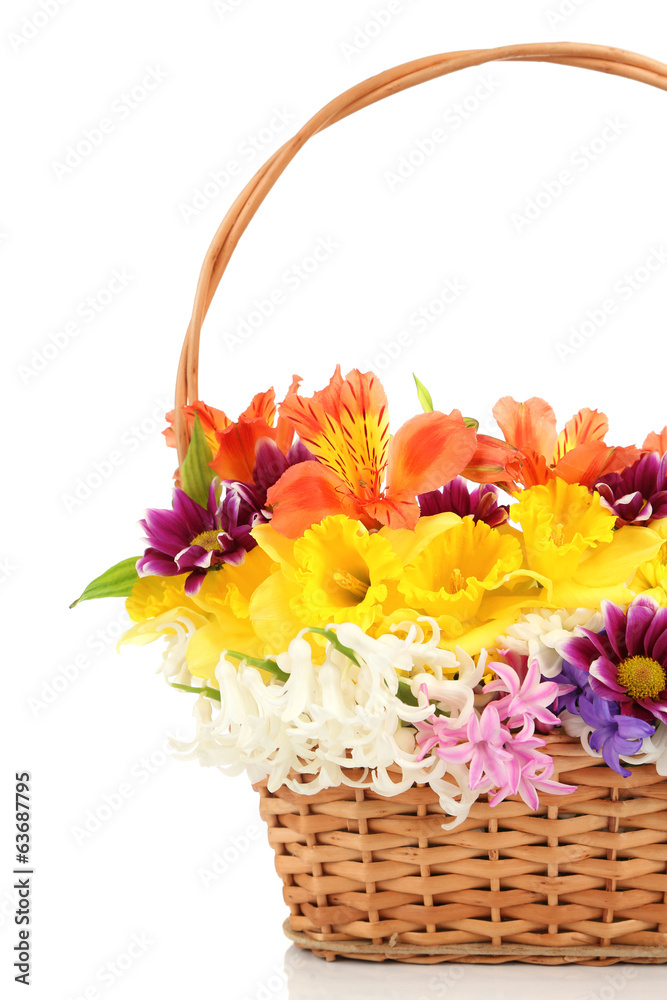 Beautiful flowers in wicker basket, isolated on white