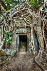 Fototapete - Ancient stone door and tree roots, Ta Prohm temple, Angkor, Camb