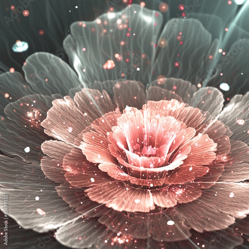 Fototapeta na wymiar pink and gray abstract flower