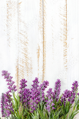 Fototapeta do kuchni Lavender