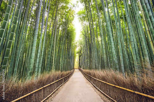 Nowoczesny obraz na płótnie Bamboo Forest, Kyoto, Japan