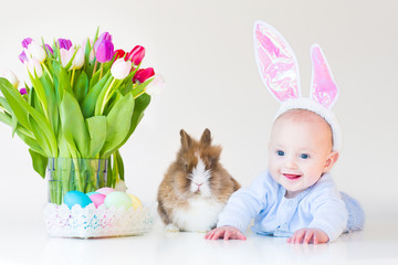 Wall Mural - Adorable funny baby boy with rabbit ears with a real bunny