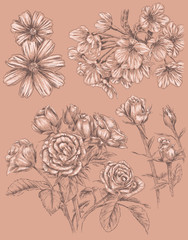  Detailed Sketchbook Hand Drawn Flower Set