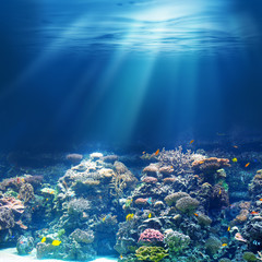 Sea or ocean underwater coral reef