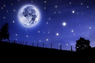 Wall Mural - starry sky