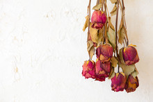 Dried Red Roses Flowers Frame Blank Copy Space On White Wall