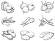 Vector set 1 of vegetables at engraving style