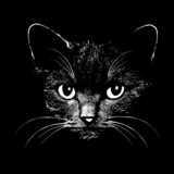 160_f_63839322_9dyaqyzwzvn3igdmwm4dq9vvqieh7wj6