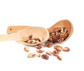 Sticker - Brazil nuts and walnuts in a wooden spoon.