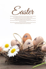 Easter Decoration With Brown Eggs In The Nest