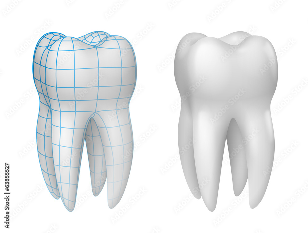 Dents vectorielles 1 - obrazy, fototapety, plakaty 